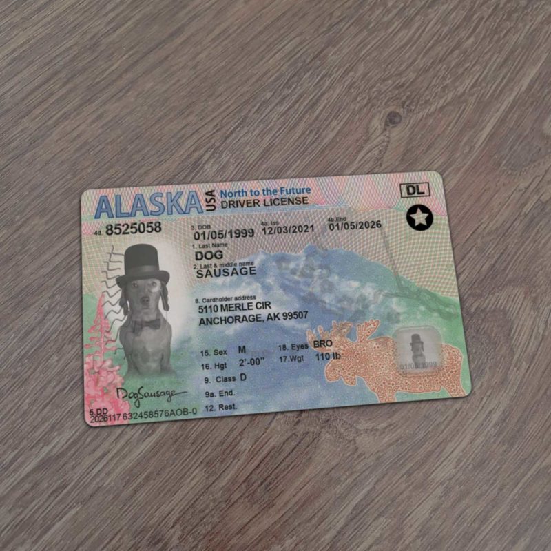 Motorists Permit Templates: Developing Reasonable and Genuine Records Intro